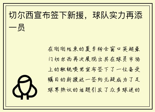 切尔西宣布签下新援，球队实力再添一员